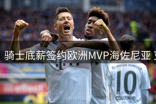 骑士底薪签约欧洲MVP海佐尼亚 克罗地亚射手时隔四年重返NBA